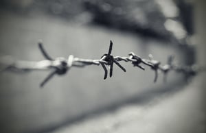 DCHolocaustBarbedWire