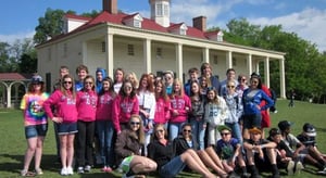 Mount_VERNON_Group