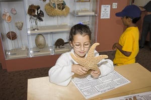 Smithsonian