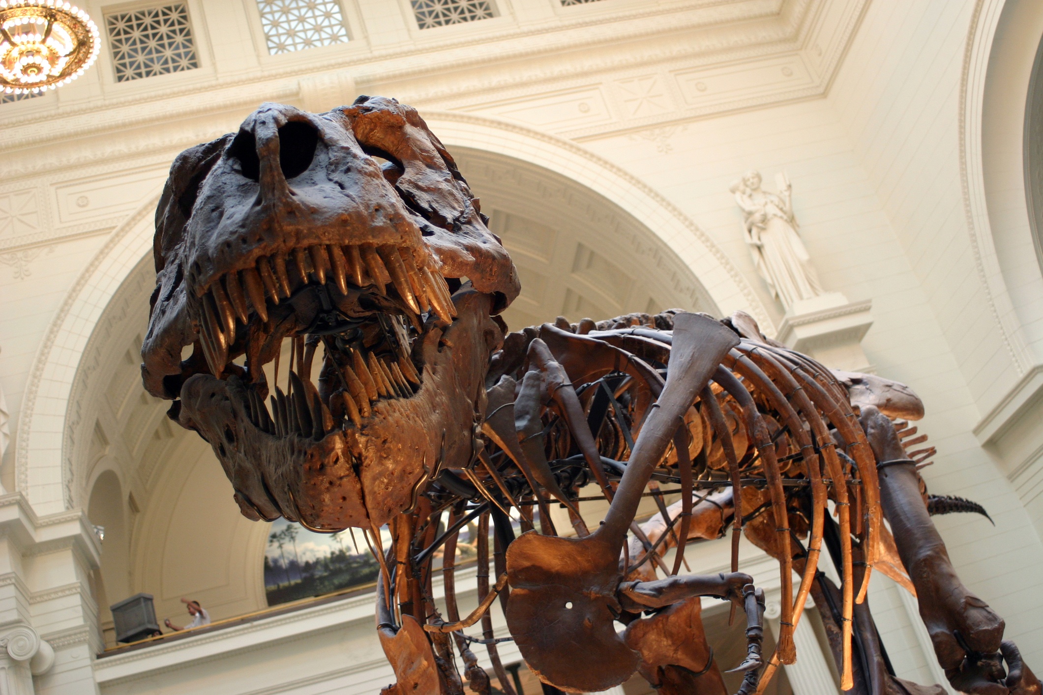 NewYork_history_2.jpg - School Trips to Chicago